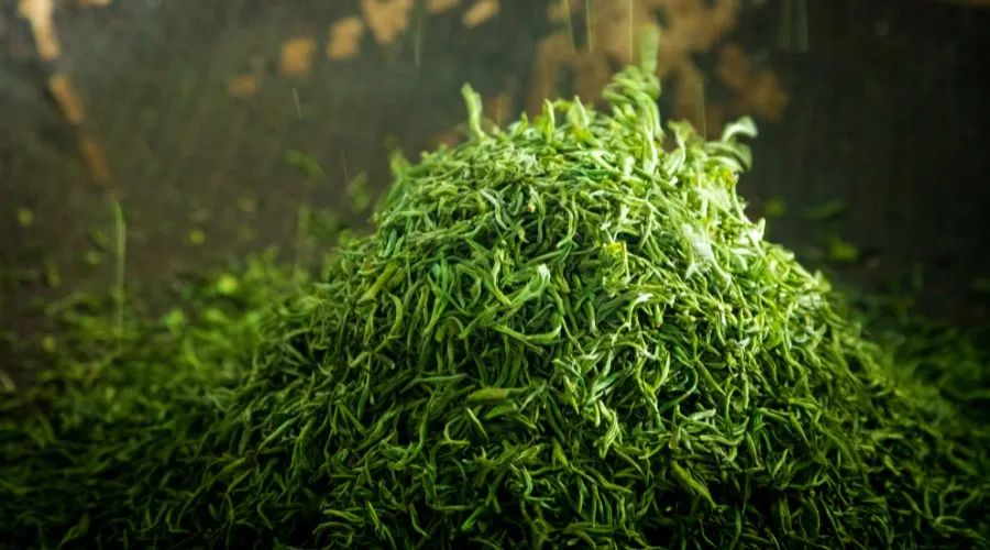 凯发名茶
