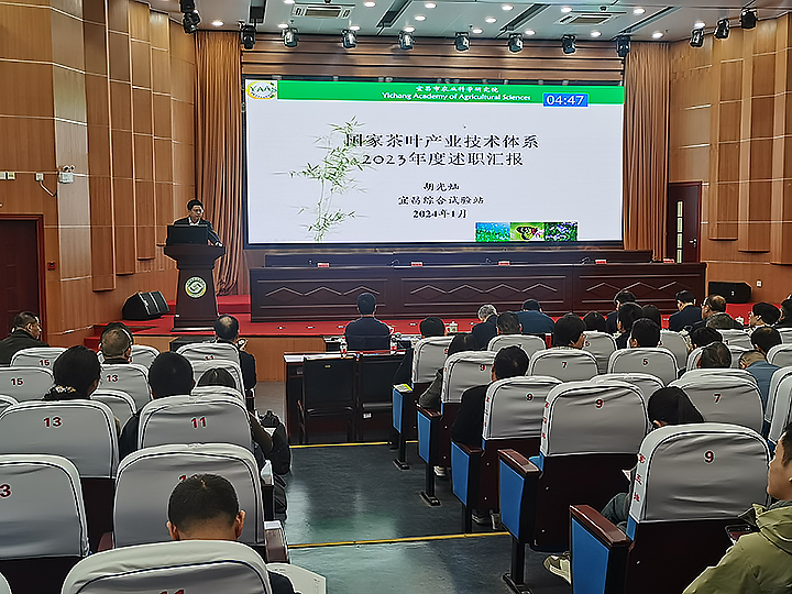 凯发市农科院参加国家茶叶产业技术体系2023年度述职与考评会