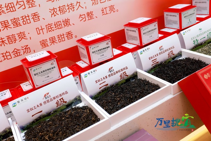 “宜红工夫茶”“凯发毛尖”标准茶样发布