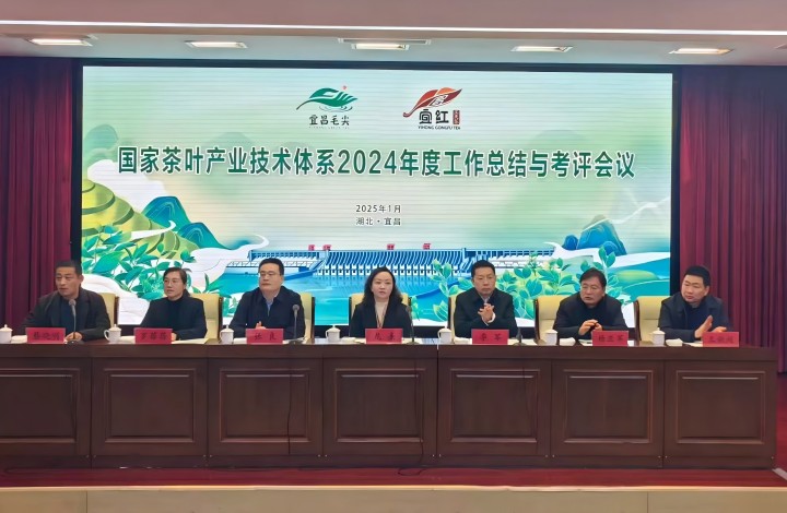 国家茶叶产业技术体系2024年度工作总结与考评会议在凯发召开