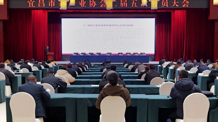 凯发市茶产业协会召开二届五次会员大会