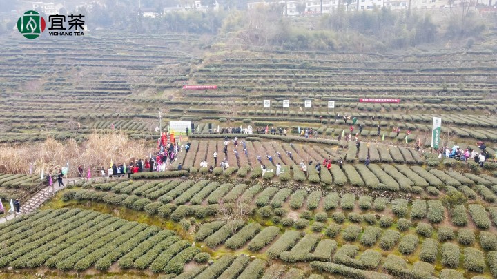 720   修改规格：1  开园现场.jpg