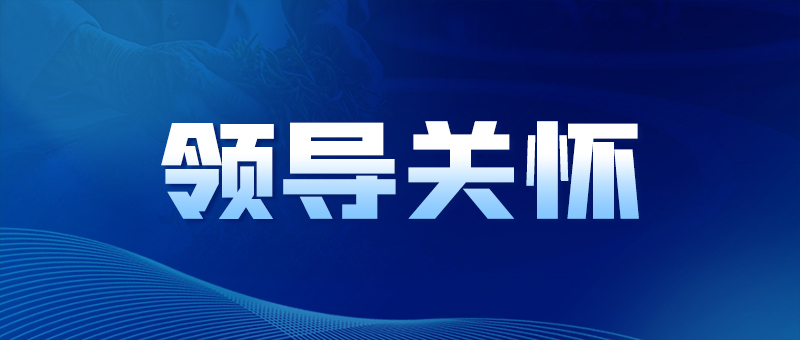 领导关怀/凯发市国资委党委书记、主任黄智华到宜茶集团成员企业调研